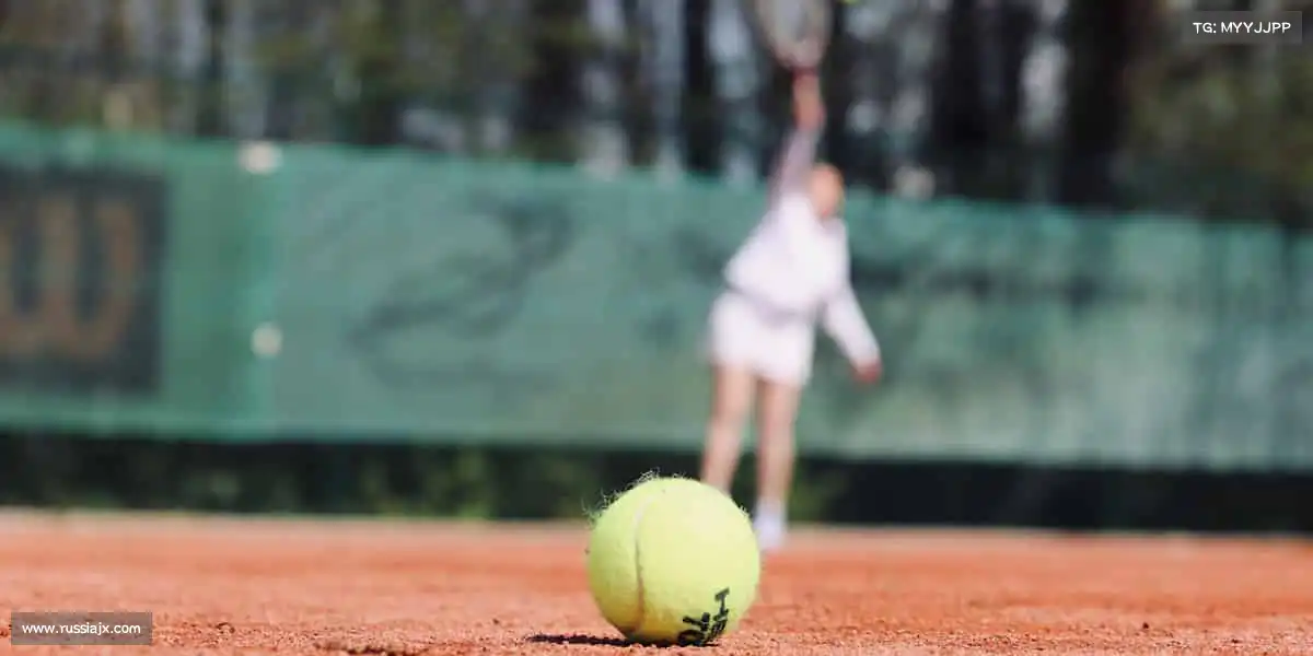 全网担保网——🏊♀️泳往直前，浪遏飞舟！